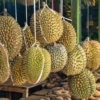 Durian Health Benefits & Side Effects If You Ate Too Much
