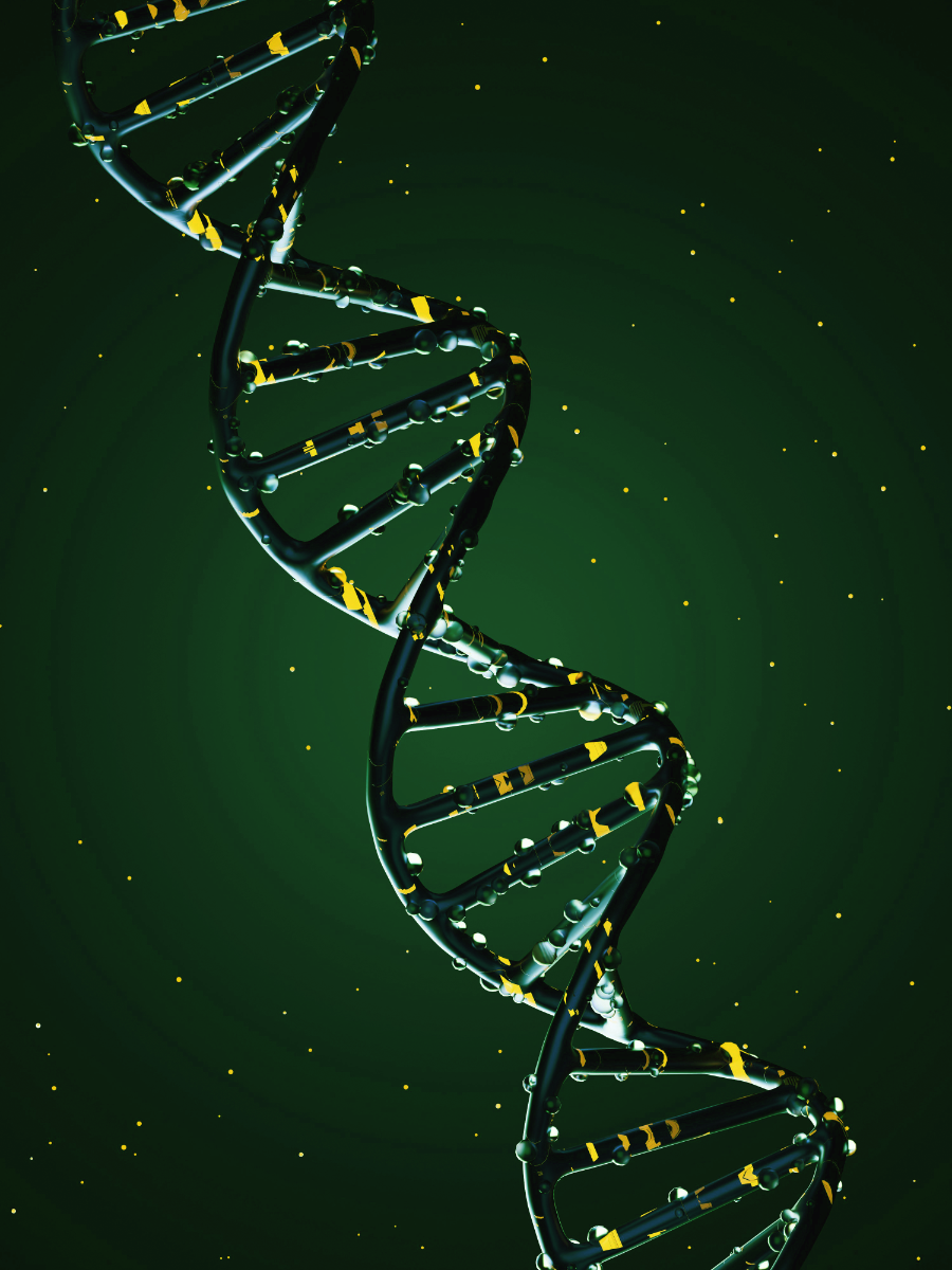 Nutrient Profiling